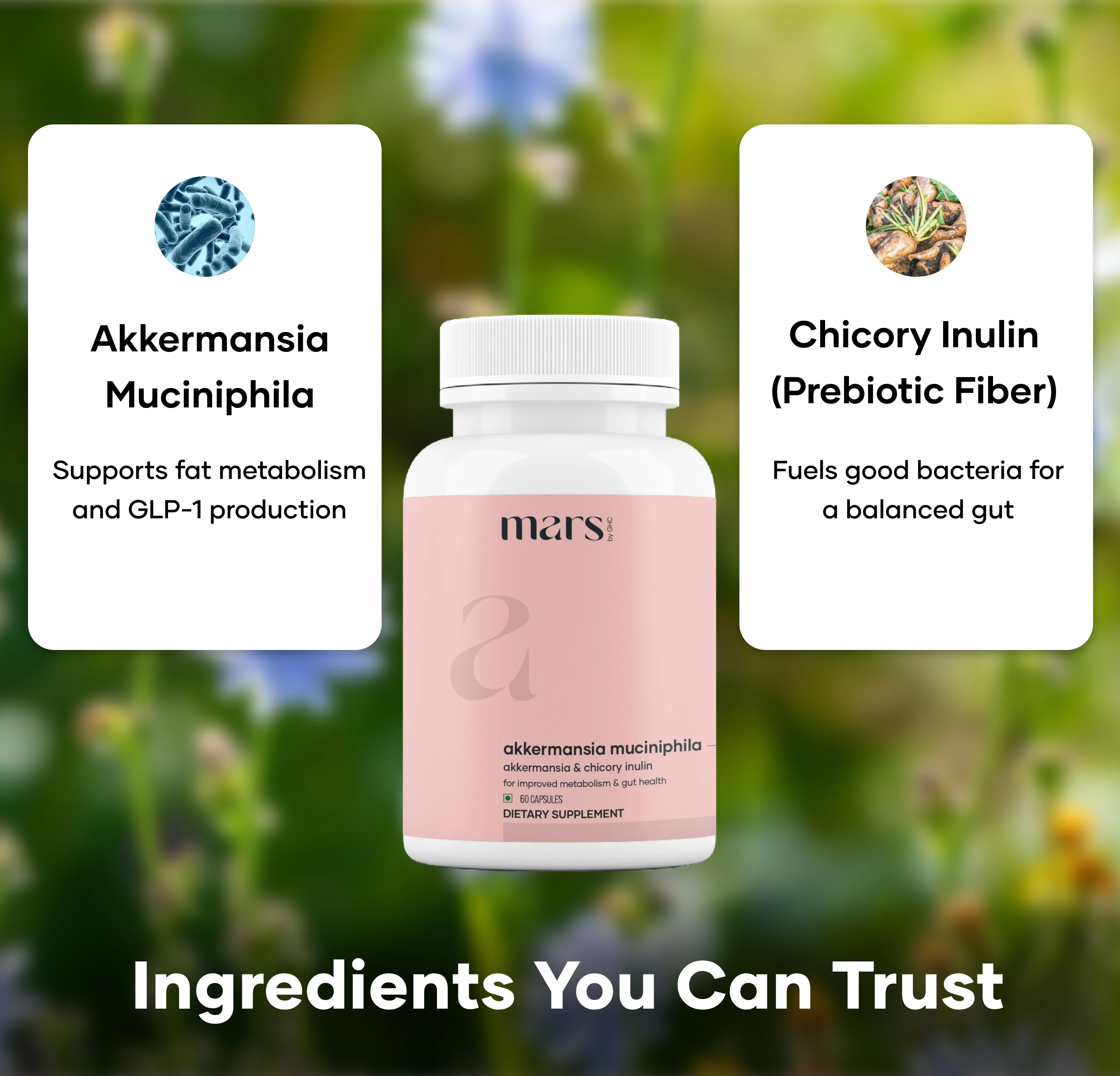 Mars Akkermansia – O7empic-Inspired Gut Reset Formula 2 Mars Akkermansia – O7empic-Inspired Gut Reset Formula