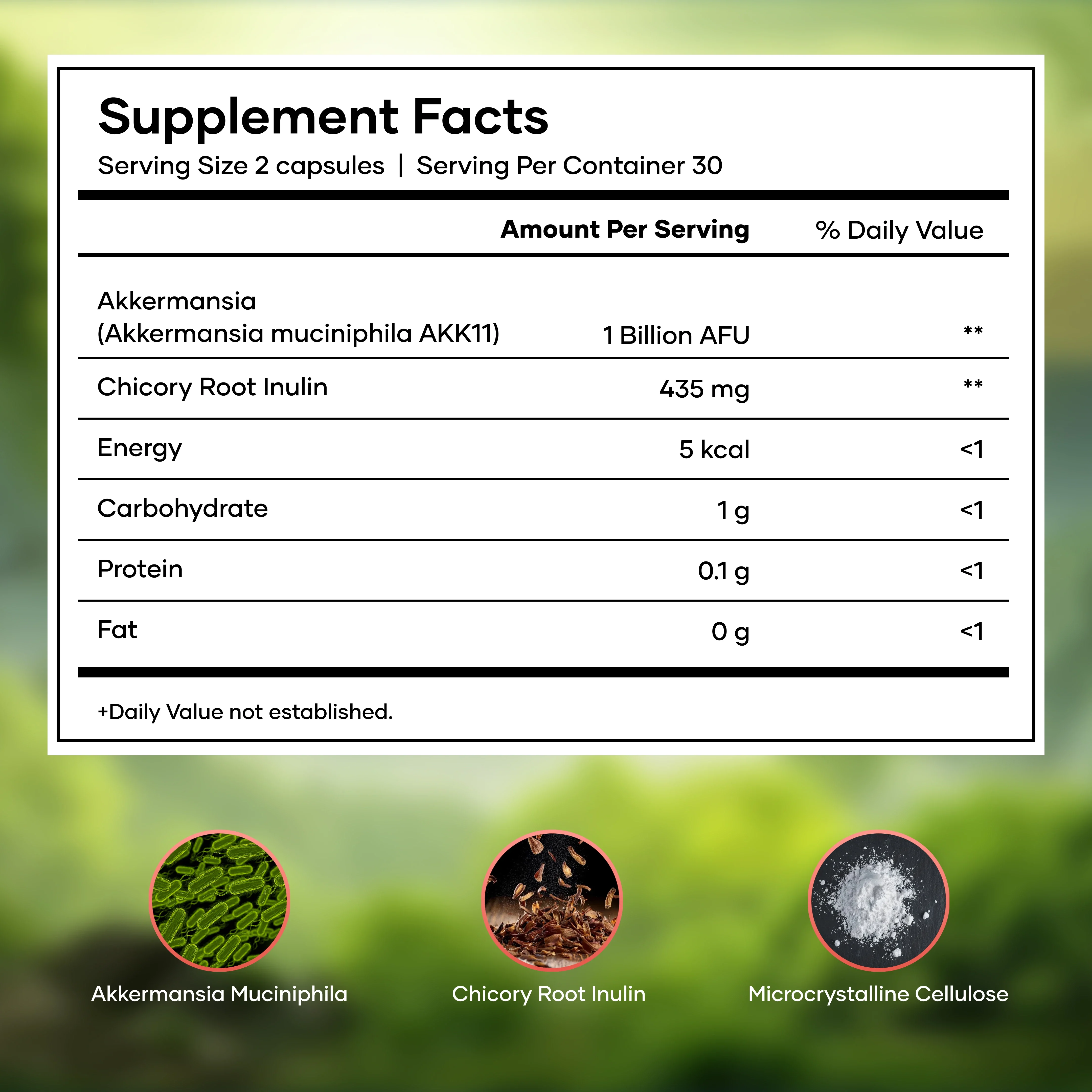 Mars Akkermansia – O7empic-Inspired Gut Reset Formula 3 Mars Akkermansia – O7empic-Inspired Gut Reset Formula