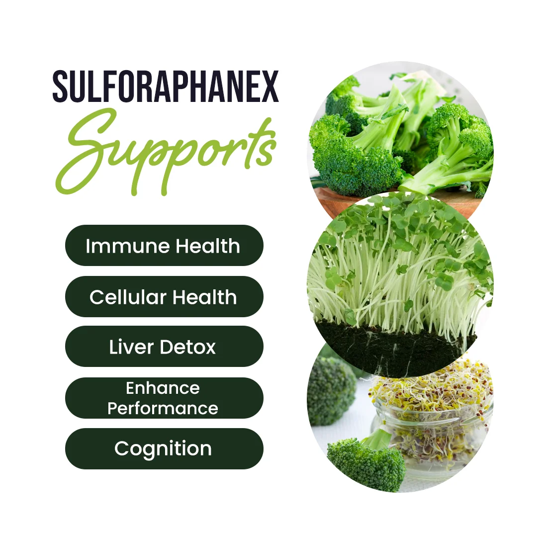 SulforaphaneX : Advanced Detox & Performance Support Formula 2 SulforaphaneX : Advanced Detox & Performance Support Formula