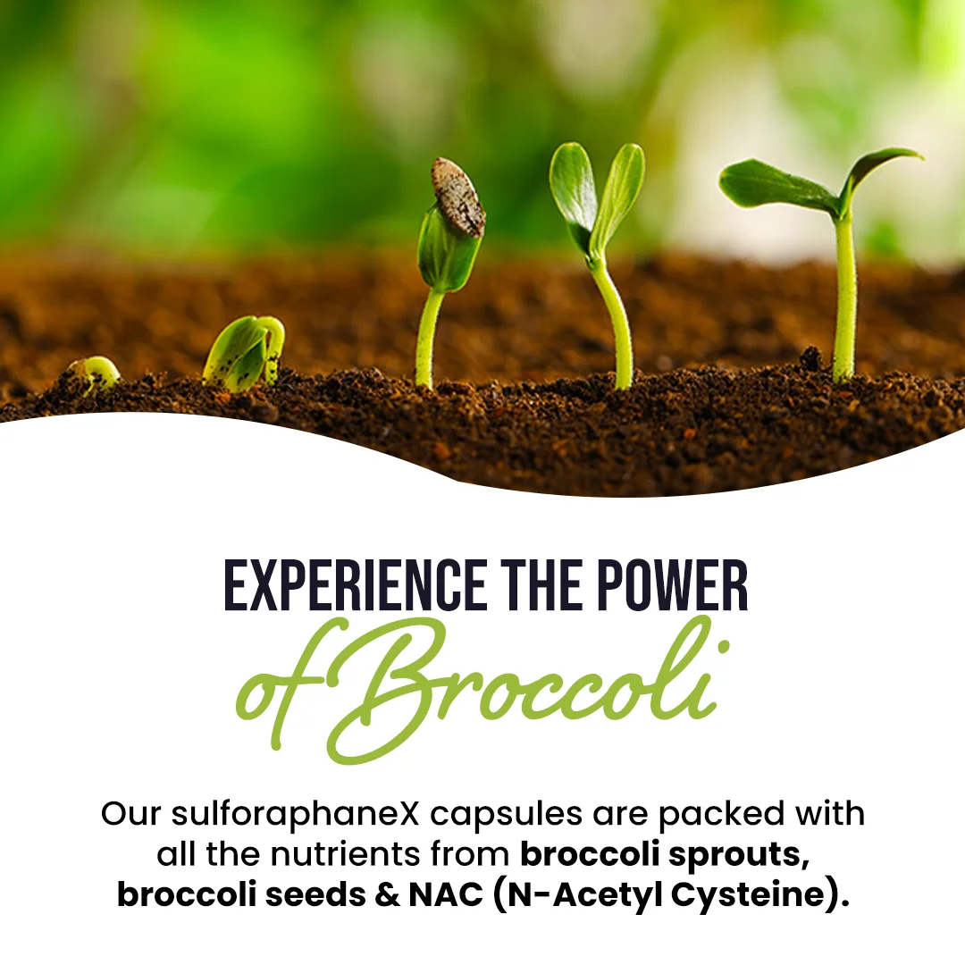 SulforaphaneX : Advanced Detox & Performance Support Formula 3 SulforaphaneX : Advanced Detox & Performance Support Formula