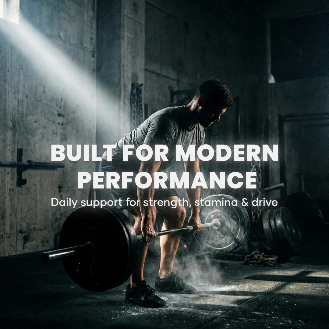 AlphaSteron Capsules with Maca Root, Magnesium & Berberine : Vitality, Strength & Metabolic Support (60N) 10 AlphaSteron Capsules with Maca Root, Magnesium & Berberine : Vitality, Strength & Metabolic Support (60N)