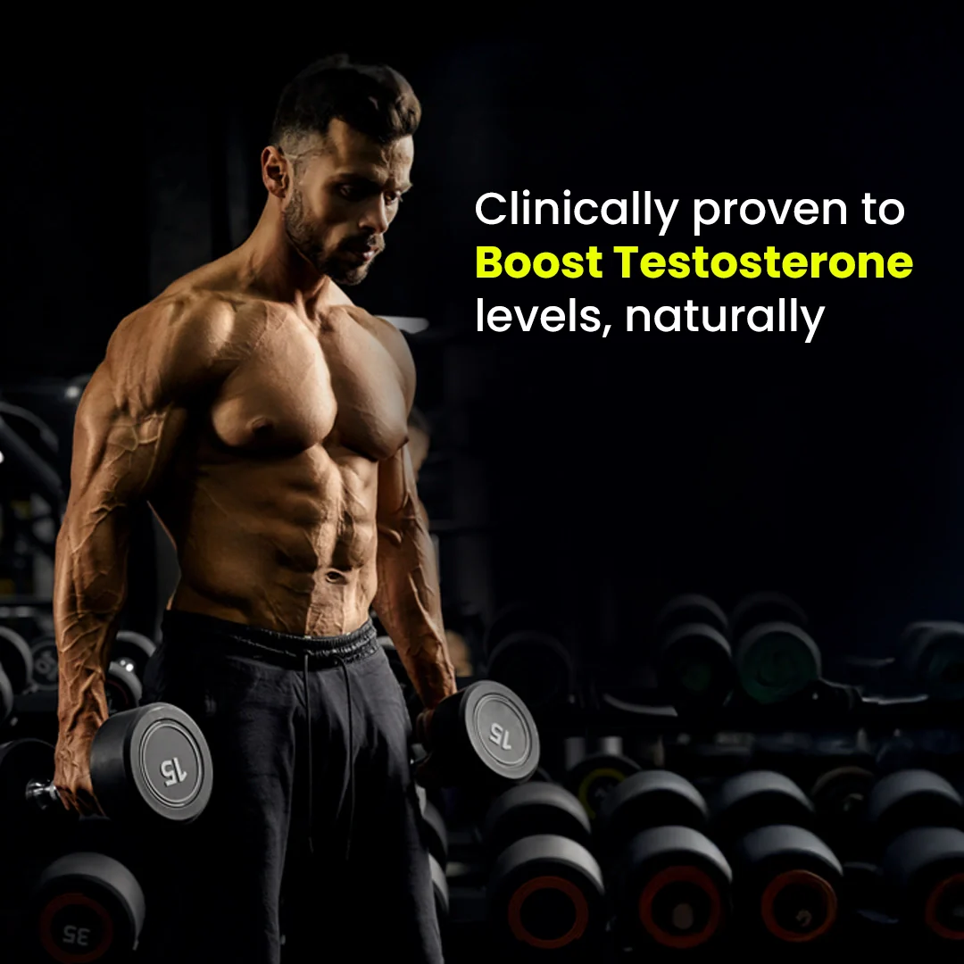 VitaSteron : Powered for Testosterone Levels, Muscle Gains & Overall Male Vitality 5 VitaSteron : Powered for Testosterone Levels, Muscle Gains & Overall Male Vitality