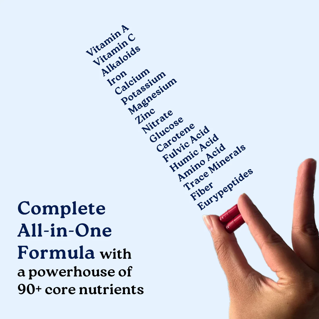 Performance Combo: Powered by Pure Himalayan Shilajit Resin & Natural Ashwagandha Capsules 10 Performance Combo: Powered by Pure Himalayan Shilajit Resin & Natural Ashwagandha Capsules
