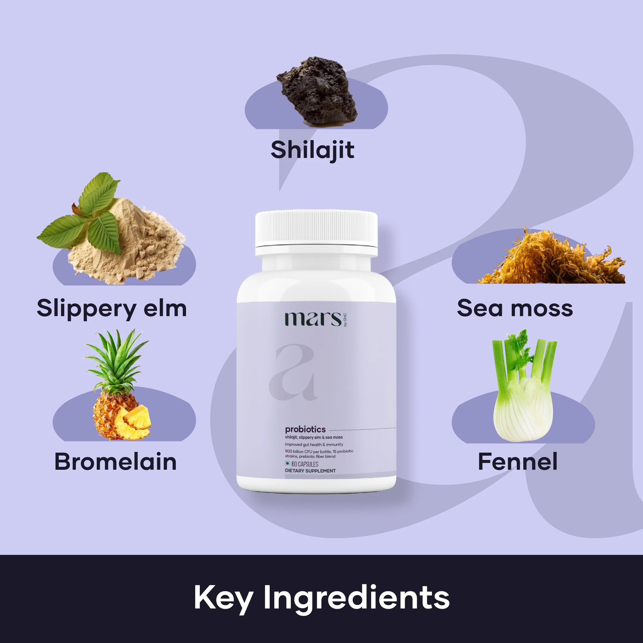 Mars Probiotics for Men: Powered with Shilajit, Sea Moss & Slippery Elm 2 Mars Probiotics for Men: Powered with Shilajit, Sea Moss & Slippery Elm